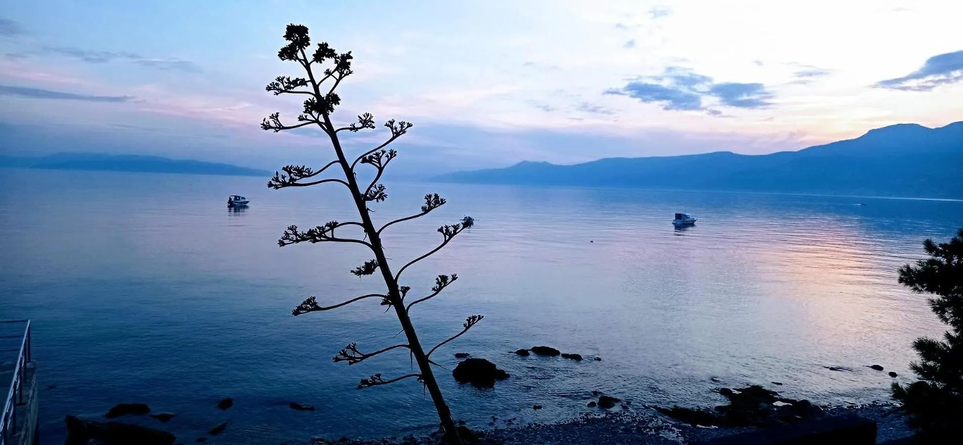Apartment Lilly In Rijeka With Amazing View